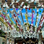 山口県宇部市
琴崎八幡宮
風鈴祭り
時々さぁ〜っと風が吹き抜けるのですが、これだけの風鈴たちが一斉に奏でる音色は、涼しげというより迫力がある感じです。
茅の輪くぐりもできました。