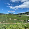 八女中央大茶園(福岡県八女市)

山の上を切り開いて造られた、約70haの大茶園。

展望台から見下ろす一面の茶畑や、遠く有明海や長崎の方まで見渡せる景色は、圧巻です。

展望台には、トイレや、お茶カフェもあります。