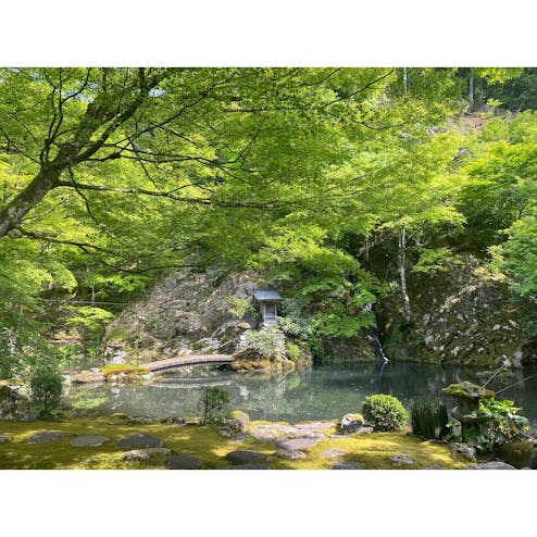 慈恩禅寺てっ草園