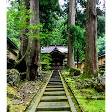 福井　永平寺

進むにつれ
空気が変わって行きました。