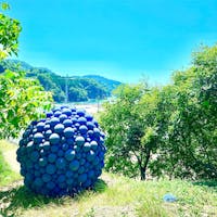 牡鹿半島の桃浦漁港の高台にあるアートオブジェ。

作品名は「淡（あわ）」。
儚さが表現されているらしい。


#宮城県 #牡鹿半島 #rebornartfestival