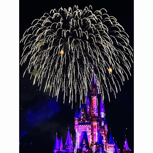 ウォルト ディズニー ワールド