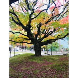 福岡県
・雷山千如寺大悲王院