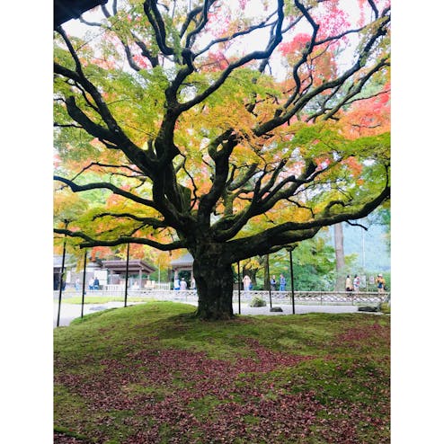 雷山千如寺 大悲王院