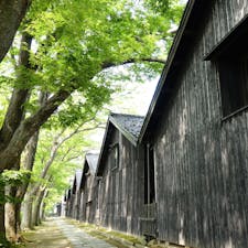 酒田市を代表する観光スポット、山居倉庫。

米の保管倉庫として使われていました。

今は資料館&物産館になっています。


#山居倉庫 #山形 #酒田市 #山形県