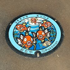 新潟県小千谷は錦鯉で有名ということでポケモンマンホールもそれにちなんだやつでした。