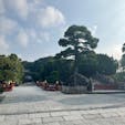 鎌倉鶴岡八幡宮

鎌倉と言えば鶴岡八幡宮と行くぐらい有名なら八幡宮ですね♪

#サント船長の写真　#伊豆・鎌倉旅行