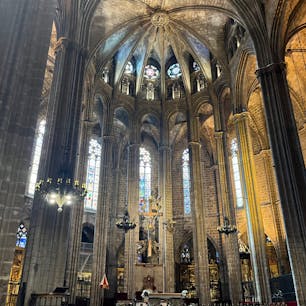 🇪🇸 サンタ・エウラリア大聖堂（カテドラル）

歴史ある大聖堂はとても厳かな雰囲気で、心落ち着く素敵な空間でした。

朝一番の予約枠だったので人も多くなく、ゆったりと観光していると、迷わず奥へ進む1人の男性の姿が目に付きました🙂
付いていくと屋上へ上がれるルートらしく、私たちのチケットでもエレベータに乗ることができました✌️

雨天時など足元が悪い場合はサグラダ・ファミリアの塔と同様中止になることもあるみたいですが、今回の旅行は天気に恵まれて本当にラッキーでした☀️

屋上からは海やバルセロナ港とモンジュイックの丘を結んでいる🚡、サグラダ・ファミリアまでも望むことができました。

#puku2'23
#puku2"07
#puku2🇪🇸バルセロナへの旅'23.7
#puku2サンタ・エウラリア大聖堂
#スペイン#バルセロナ#サンタ・エウラリア大聖堂#カテドラル#ステンドグラス
