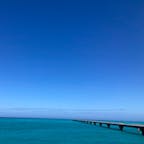 沖縄/宮古島

2月の宮古ブルー

この時も暑かったなぁ🥵

海の上に架かる橋を通る度に、テンション⤴️⤴️

#puku2'23
#puku2"02