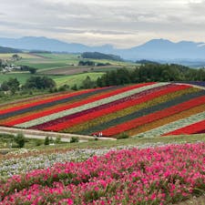 北海道/富良野

カラフルなパッチワークの丘

キュートなラベンダー色のポストがありました（２枚目）🥰

#puku2'22
#puku2"09
#puku2北海道
#北海道#富良野#展望花畑四季彩の丘#花