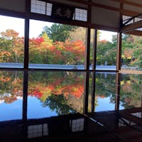 群馬県/宝徳寺
床もみじ🍁
ソロ活のはとバスツアー😆
ちょっとドキドキしながら参加したけど、行ってみたらめちゃくちゃ良かった〜♪
#puku2'22
#puku2"11
#puku2伊東から関東地方を巡る旅'22.11
#puku2群馬
#群馬#宝徳寺#神社仏閣#紅葉