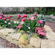 ハナビヨリ
2023/04/02