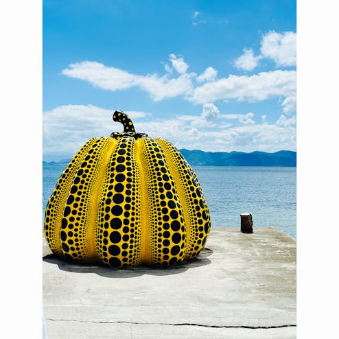 南瓜（黄かぼちゃ）