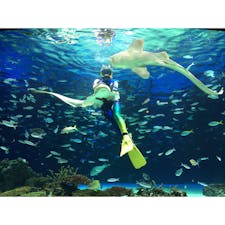 池袋 サンシャイン水族館

天空の水族館