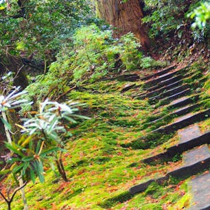 ♯石川
♯小松
♯那谷寺