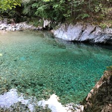 ♯長野
♯阿寺渓谷
♯狐♯狸