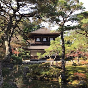 京都　銀閣寺

少し離れたところから
見るといい感じでした。
