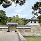 香川🇯🇵丸亀

日本一の石垣
現存十二天守の１つ、丸亀城。