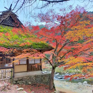 愛知県　
豊田市足助（あすけ）の香嵐渓
紅葉🍁が絶景です。
屋台の食べ歩きも楽しみのひとつ😋
五平餅が美味しかった。
2022年11月撮影