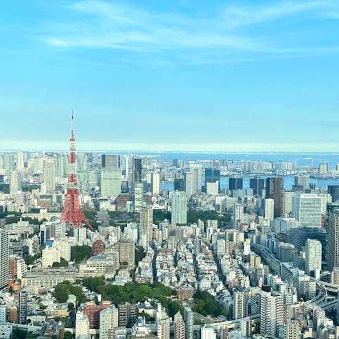 東京シティビュー