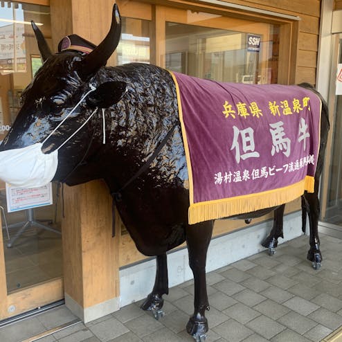 道の駅「山陰海岸ジオパーク浜坂の郷」