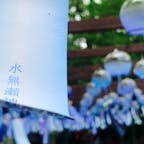 風鈴を見に行きました♪