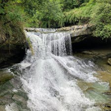 遊歩道をゆっくり散策