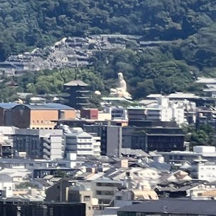 京都駅空中経路

スカイウォークから見た京都市内ですが、皆様は判るかなぁ〜

#サント船長の写真　#京都駅