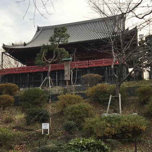 寛永寺清水観音堂