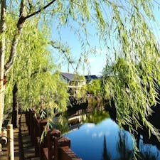 千葉県香取市の佐原は「水郷の町」と言われ柳が揺れる風情ある川沿いに商家の町並みが連なっています。

ロケ地としても人気ですし、職人の手仕事が見られたり、オシャレなお店も増えています。



#千葉県　#香取市　#佐原