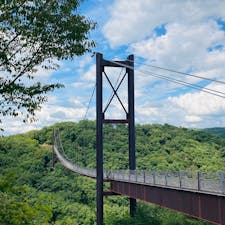大阪　ほしだ園地

夏の星のブランコも
また良し
橋の真ん中の眺めが最高
下からも覗きました

秋の紅葉もまた見たい