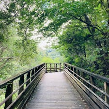 大阪　ほしだ園地

駐車場から木道を歩いて行くと
可愛い案内

さらに進むと
ピトンの小屋という休憩所

驚いたのはその前にある
クライミング場
人が小さい
拡大してあげるから
頑張って登って。

無理やわ。