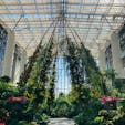 兵庫　淡路島

淡路島夢舞台
あわじグリーン館

本当に巨大な屋内植物園を散策。
世界の植物に出会えます。