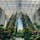 兵庫　淡路島

淡路島夢舞台
あわじグリーン館

本当に巨大な屋内植物園を散策。
世界の植物に出会えます。