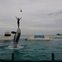 鴨川シーワールド🐬