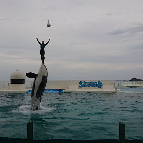 鴨川シーワールド