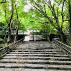 京都　龍安寺

石庭までの道のりの
青もみじが素敵