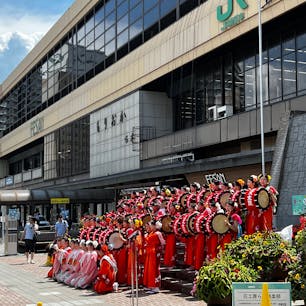 東北、北海道旅行
盛岡さんさ踊り