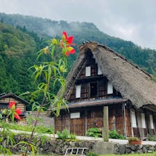 富山
五箇山　相倉合掌造り集落

花々と合掌造り

重要伝統的建造物群保存地区