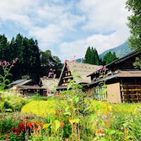 富山　五箇山
菅沼合掌造り集落

自然豊かな小さな集落
本当にのどかな風景が広がります。

早くきてほしい秋
