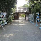 水無月神宮の五右衛門の手形　(大阪府)

後鳥羽上皇ゆかりの水無瀬神宮（みなせじんぐう）の入口、神門（薬医門）の右柱にあります。安土桃山時代の大盗賊・石川五右衛門が、神宝の太刀を盗もうとして数日竹やぶの中に潜み、忍び入ろうとしたが、足がすくんで門内に入れず、門柱に自分の手形を押して立ち去ったと伝わります。

#サント船長の写真　#水無月神宮