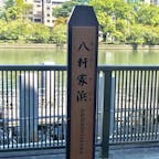 八軒家浜船着場

現在の大阪府大阪市中央区天満橋京町・北浜東にあった係留施設。 この項目では、かつて旧淀川左岸に設けられた船着場・八軒家浜の歴史および、その歴史にちなんで2008年に開設された観光用岸壁の八軒家浜船着場についても記述する。

#サント船長の写真