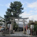 與杼神社（よどじんじゃ）は、京都市伏見区淀本町にある神社。式内社で、旧社格は郷社。淀城の本丸跡に建てられている。

#サント船長の写真　#淀城跡