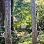 京都　三千院　
往生極楽院

苔の庭がすてきでした