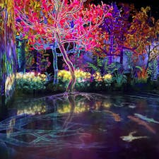 チームラボフォレスト 福岡