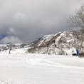 【ハチ高原スキー場】兵庫県
兵庫にある2つのスキー場「ハチ高原スキー場」&「ハチ北スキー場」は山頂でつながっており、合わせれば関西圏では最大級のスキー場となっています。ベテランが楽しめるコースはもちろん、小さな子連れファミリーや、ゲレンデデビューの方にも人気。特に、緩やかな傾斜の「グリーンエリア」は初心者が練習するのにぴったりで、リフト券も大人の一日券の約半額です