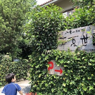 【八重山そば処 来夏世】石垣島
石垣島の名物「八重山そば」が美味しいお店として、石垣島の人気店。
「来夏世」とは「次に来る夏も豊作であれ」という意味で「くなつゆ」と読みます。
一軒家でオープンに開かれた入口の雰囲気から「お〜りと〜り」と言われているかのような感じ。
八重山そばは、丸い細めのストレート。トッピングは細く切った三枚肉とカマボコ、そして青ネギのみ。よくある「沖縄そば」の紅生姜はありません。
出汁がとても素朴な味わいで美味しいです。