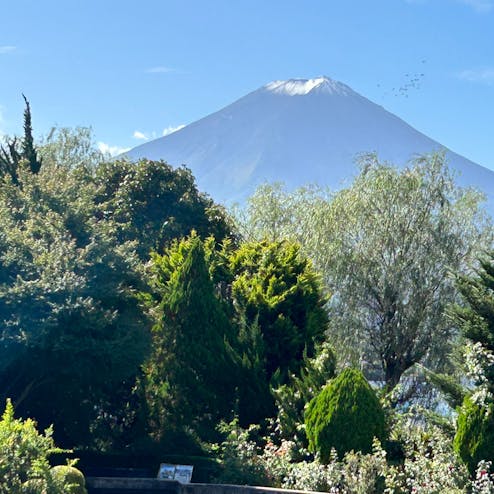 河口湖音楽と森の美術館(旧河口湖オルゴールの森美術館)