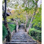 京都　寂光院

緑に囲まれた
静かな階段を登って行きました。