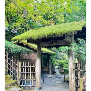 京都　寂光院

坂の途中のお庭の入口が
趣き深い